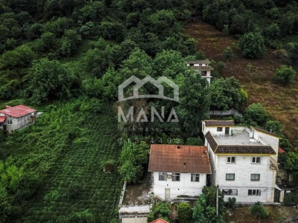DJI_0019
