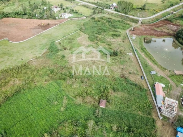 DJI_0018