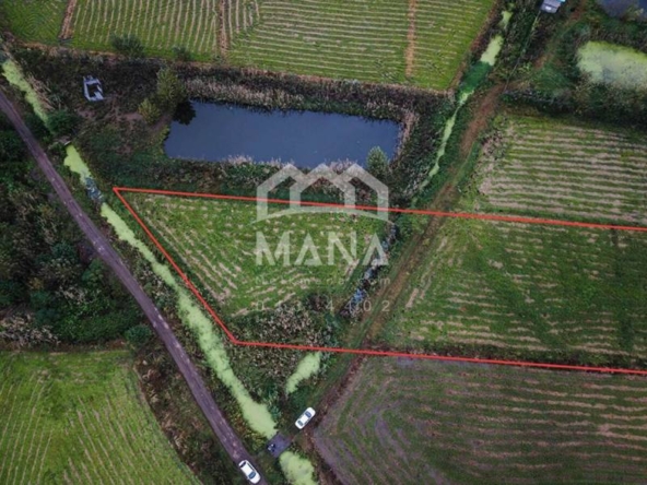 DJI_0020