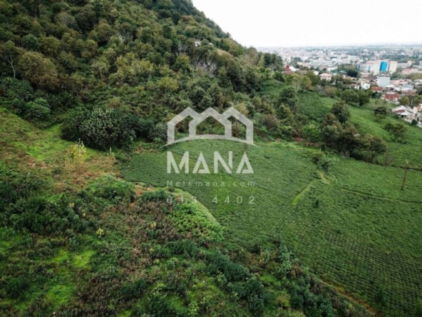 DJI_0032-2-1