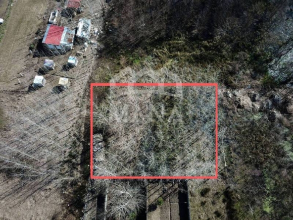 DJI_0020-1
