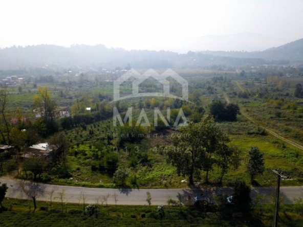 DCIM100MEDIADJI_0039.JPG